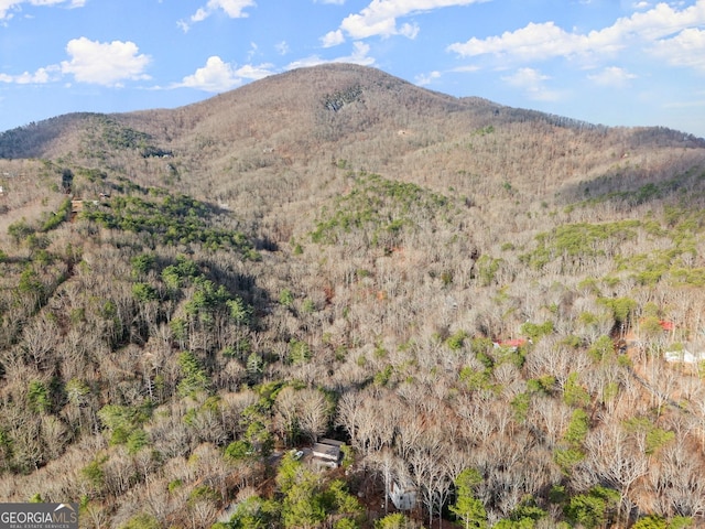 view of mountain feature