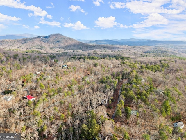 view of mountain feature