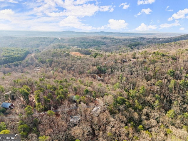 birds eye view of property featuring a mountain view