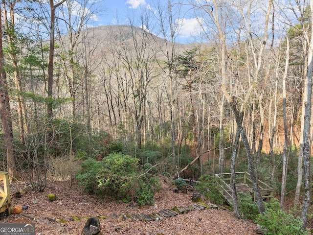 view of nature with a mountain view