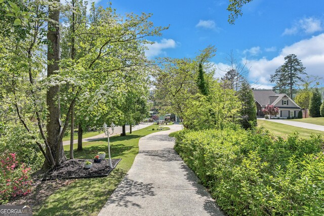 6780 Lawson Cir, Gainesville, GA 30506 - view of property's community featuring a yard