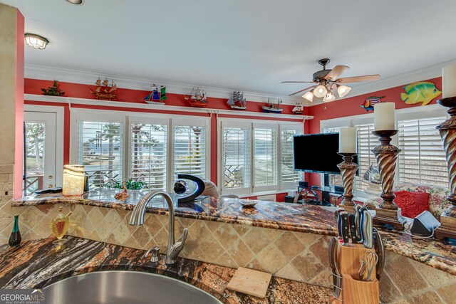 6780 Lawson Cir, Gainesville, GA 30506 - kitchen featuring crown molding, plenty of natural light, a ceiling fan, and a sink