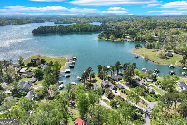 6780 Lawson Cir, Gainesville, GA 30506 - birds eye view of property featuring a wooded view and a water view