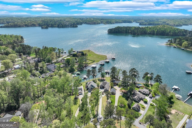 6780 Lawson Cir, Gainesville, GA 30506 - birds eye view of property with a view of trees, a residential view, and a water view