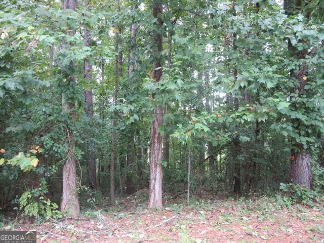 Listing photo 3 for 000 Bridge Park Ct, Stockbridge GA 30281