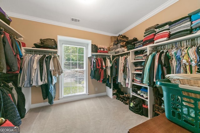 walk in closet with light colored carpet