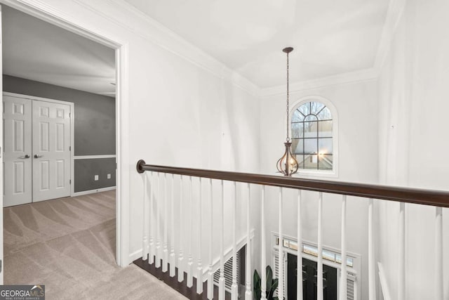 hall featuring ornamental molding and carpet