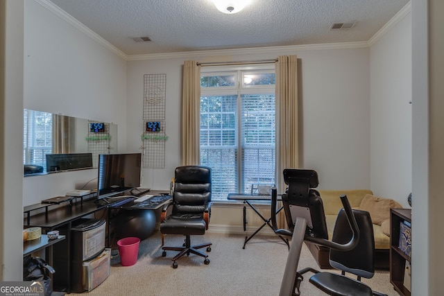 carpeted home office featuring ornamental molding and a textured ceiling