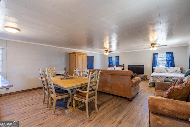 dining area with ornamental molding, ceiling fan, and light hardwood / wood-style flooring