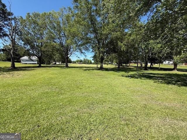 40 County Road 498, Centre, AL 35960 - view of grassy yard