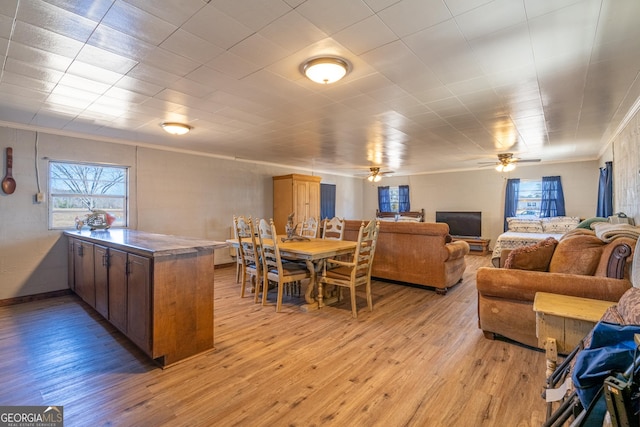 interior space with ornamental molding, ceiling fan, and light wood-type flooring