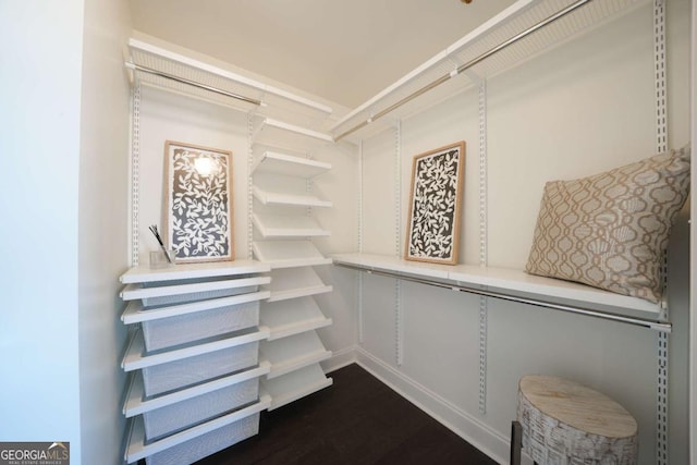 spacious closet featuring dark hardwood / wood-style flooring