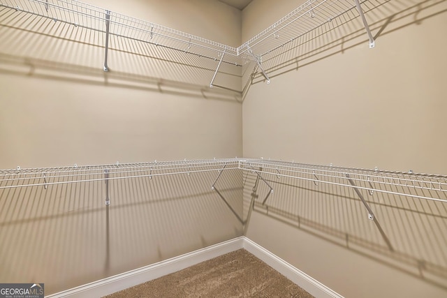 spacious closet with carpet floors