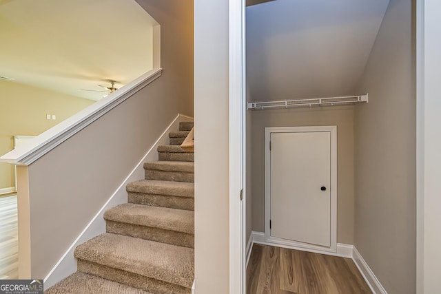 staircase with wood-type flooring and ceiling fan