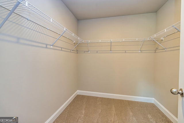 walk in closet with carpet