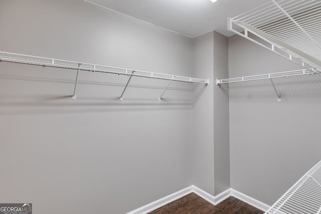 walk in closet with dark hardwood / wood-style flooring