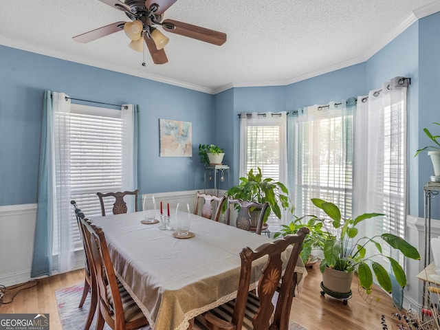 dining space featuring crown molding, a textured ceiling, a ceiling fan, and wood finished floors