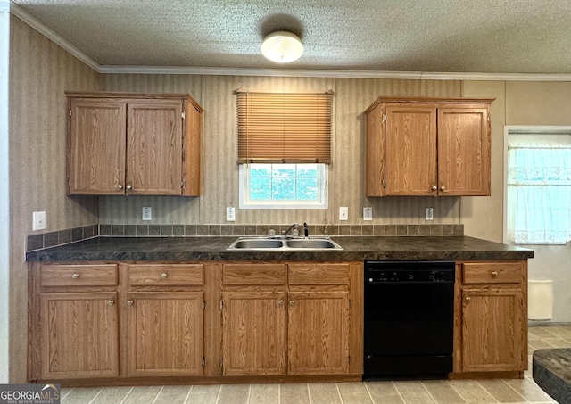 kitchen with sink, a textured ceiling, ornamental molding, and dishwasher