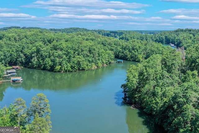 drone / aerial view featuring a view of trees and a water view