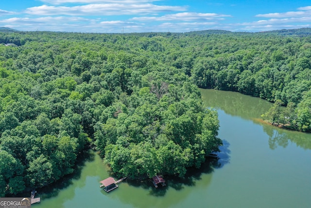 birds eye view of property featuring a water view and a wooded view