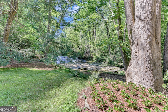 view of yard with a wooded view