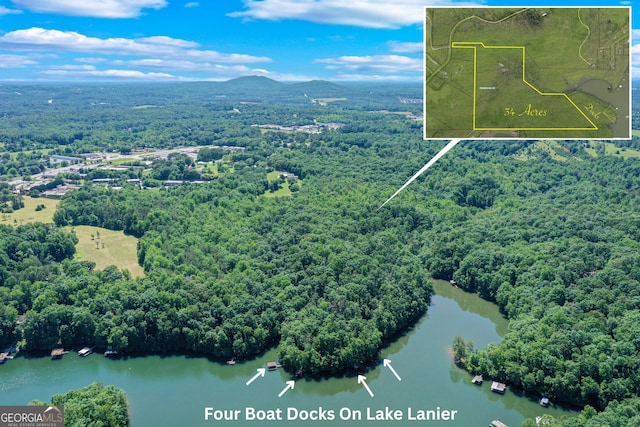 aerial view featuring a forest view and a water and mountain view