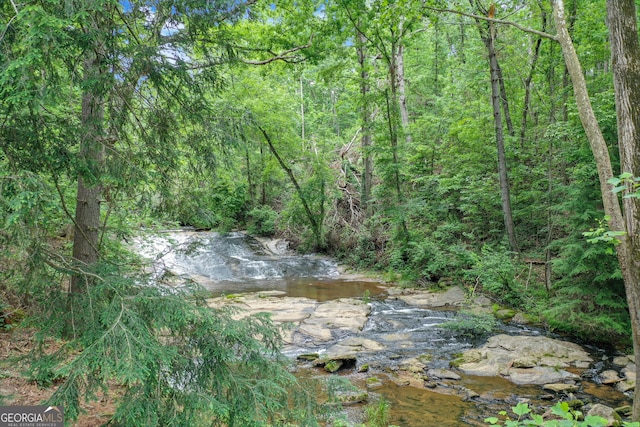 view of nature with a wooded view