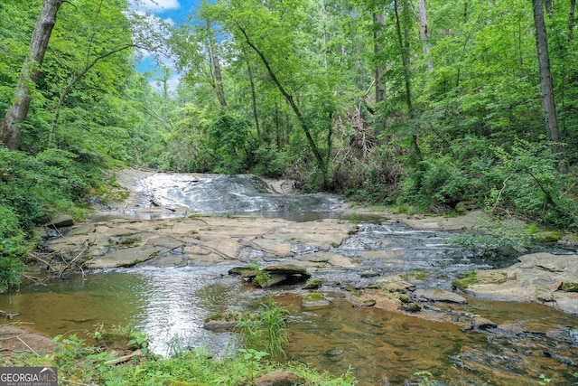 water view with a forest view