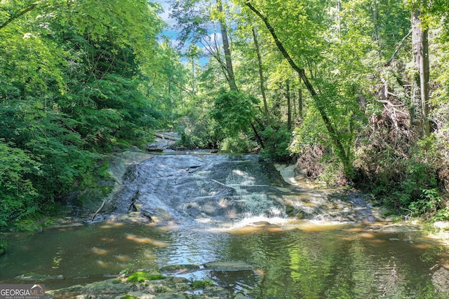 view of water feature with a view of trees