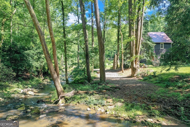 view of yard featuring a wooded view