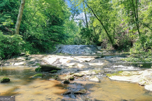 property view of water featuring a wooded view