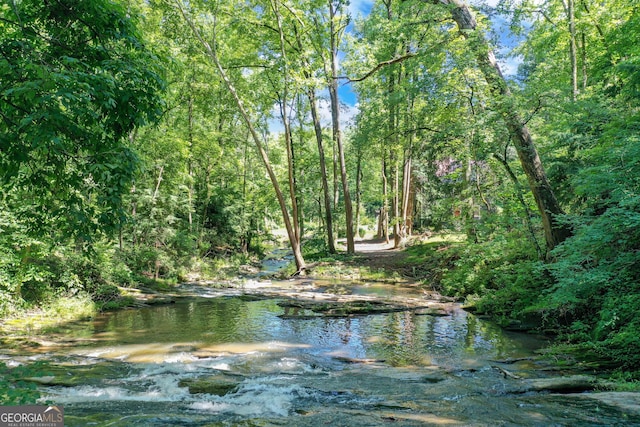 property view of water with a wooded view