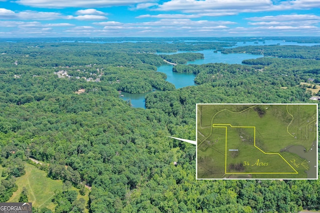 drone / aerial view with a view of trees and a water view