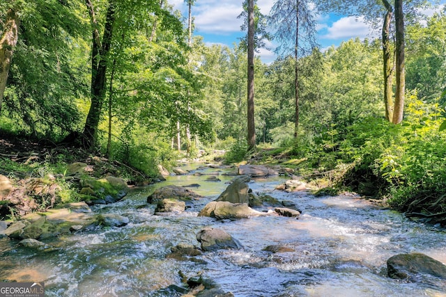 view of nature featuring a forest view