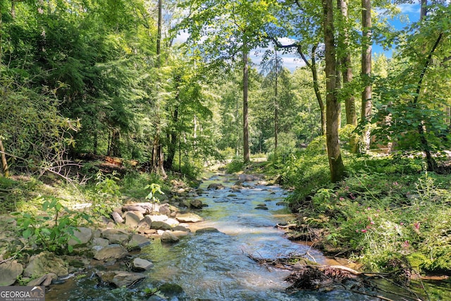 view of water feature with a forest view