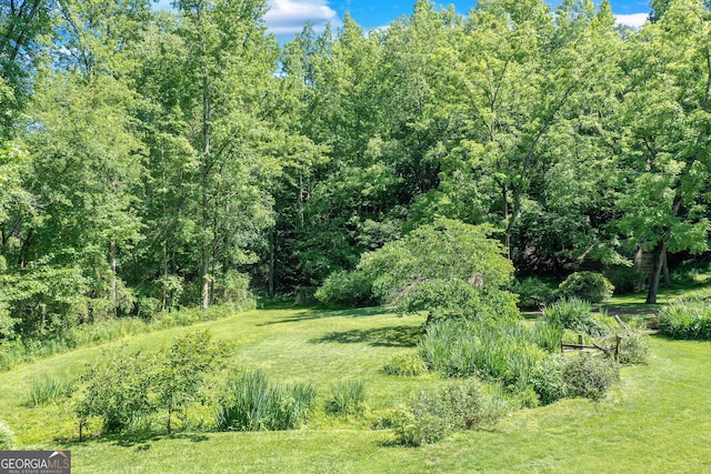 view of nature featuring a view of trees