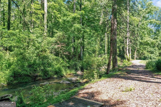 view of local wilderness featuring a forest view