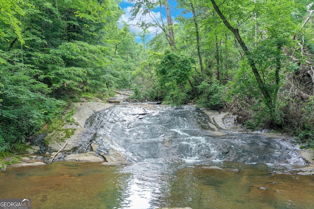 view of water feature with a forest view