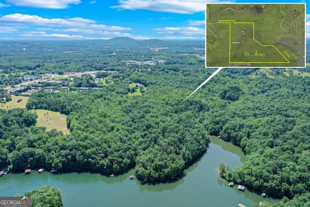 birds eye view of property featuring a forest view and a water and mountain view