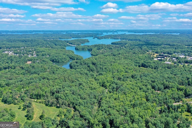 aerial view featuring a water view and a wooded view