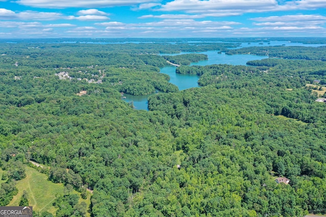 aerial view featuring a forest view and a water view