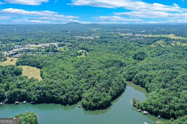 bird's eye view featuring a wooded view and a water and mountain view