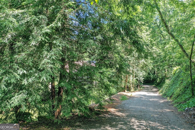 view of road featuring a wooded view