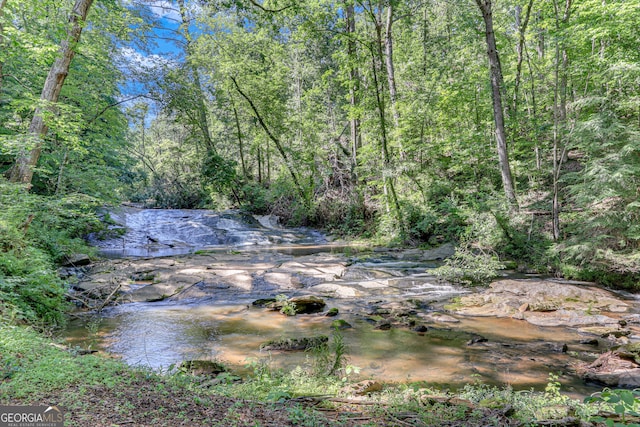 view of local wilderness featuring a wooded view