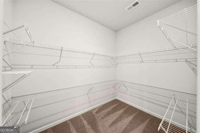 spacious closet featuring carpet