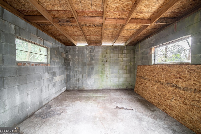 basement with a wealth of natural light