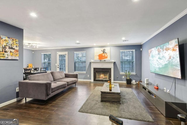 living room featuring ornamental molding, plenty of natural light, and dark wood-type flooring