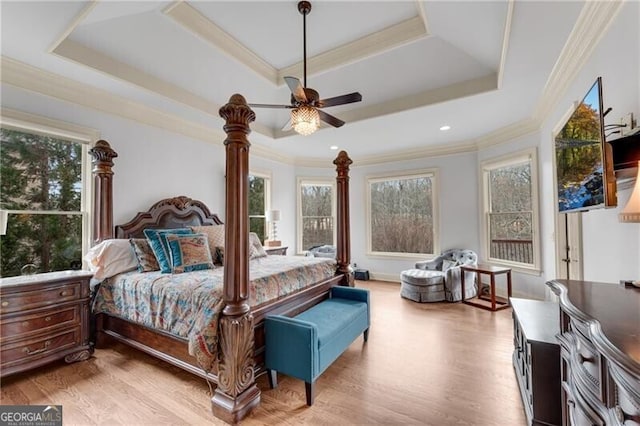 5861 Yoshino Cherry Ln, Braselton, GA 30517 - bedroom with multiple windows, ornamental molding, light wood-type flooring, and a tray ceiling