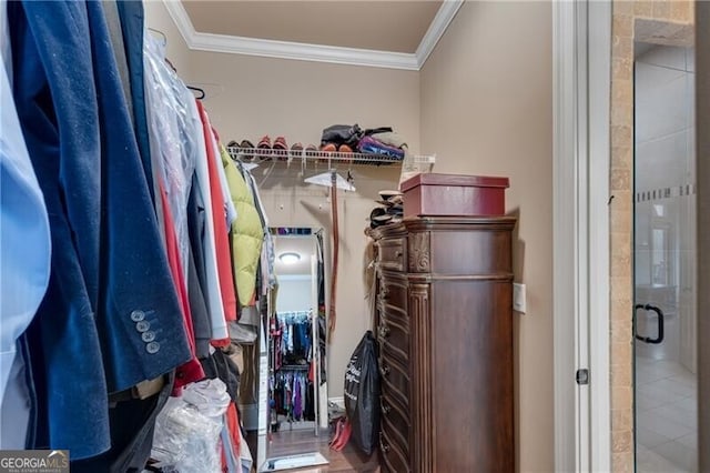 5861 Yoshino Cherry Ln, Braselton, GA 30517 - view of spacious closet