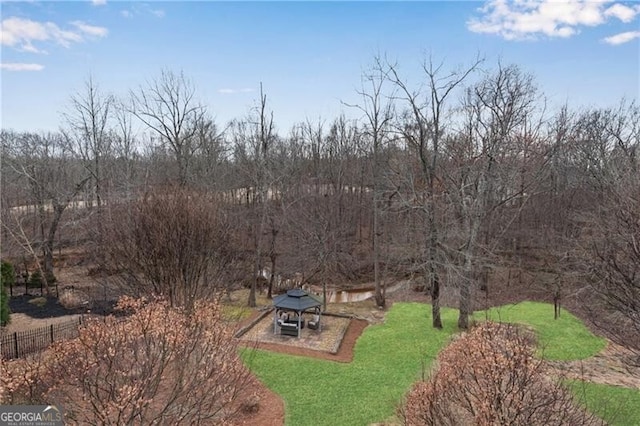 5861 Yoshino Cherry Ln, Braselton, GA 30517 - view of yard